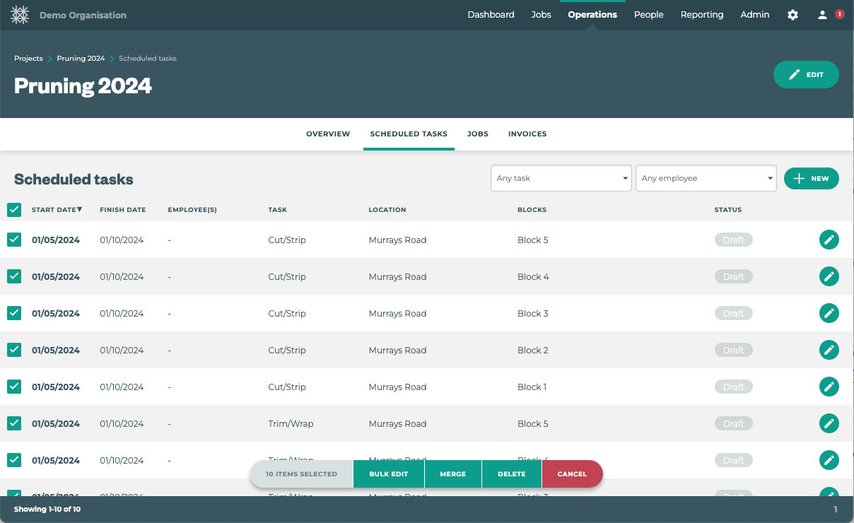 Project-summary-generated-bulk.png